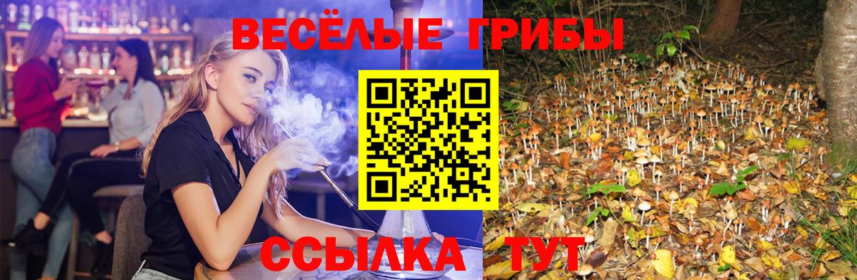 Галлюциногенные грибы мухоморы Сафоново
